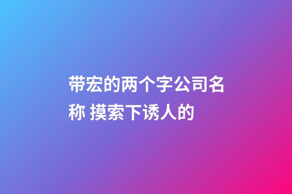 带宏的两个字公司名称 摸索下诱人的-第1张-公司起名-玄机派